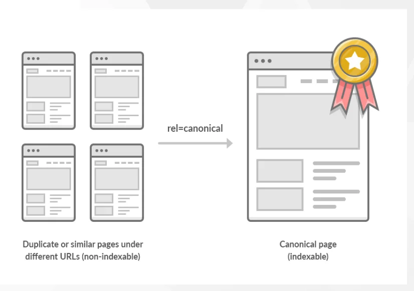 Website Canonical Setup